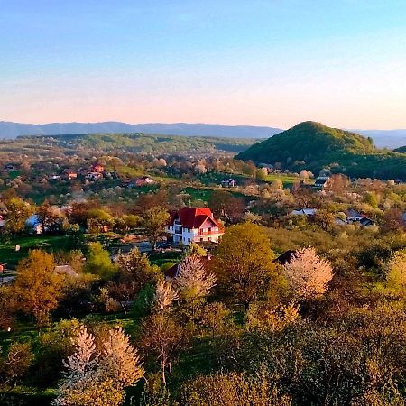 Casa Comilor Bed and Breakfast Surdesti  Εξωτερικό φωτογραφία