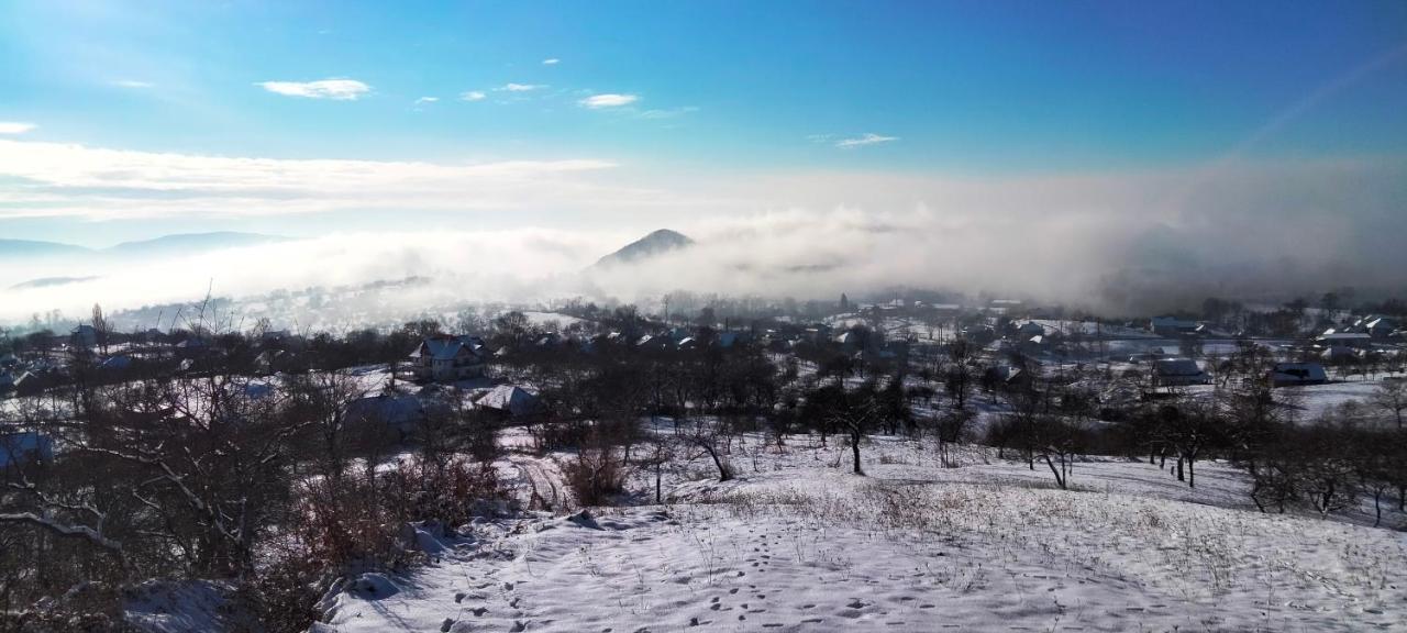 Casa Comilor Bed and Breakfast Surdesti  Εξωτερικό φωτογραφία