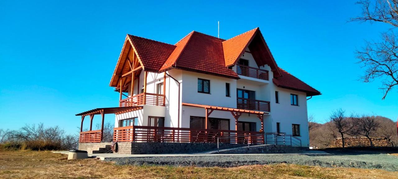 Casa Comilor Bed and Breakfast Surdesti  Εξωτερικό φωτογραφία