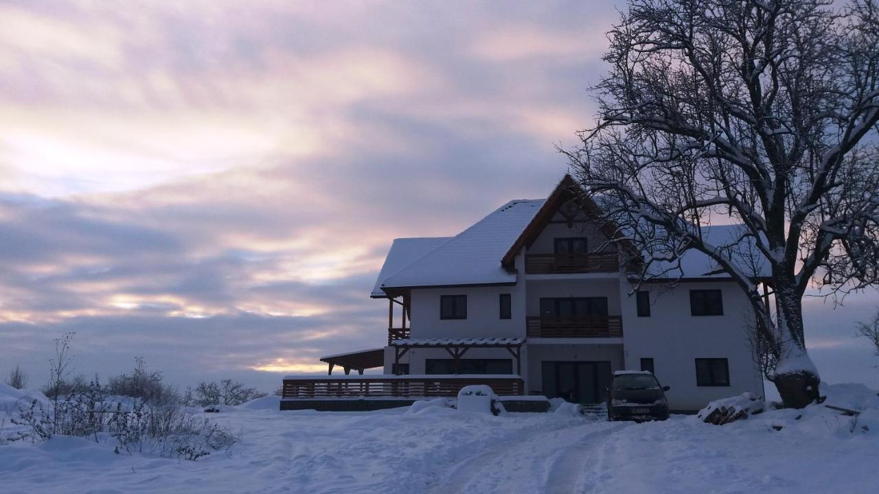 Casa Comilor Bed and Breakfast Surdesti  Εξωτερικό φωτογραφία