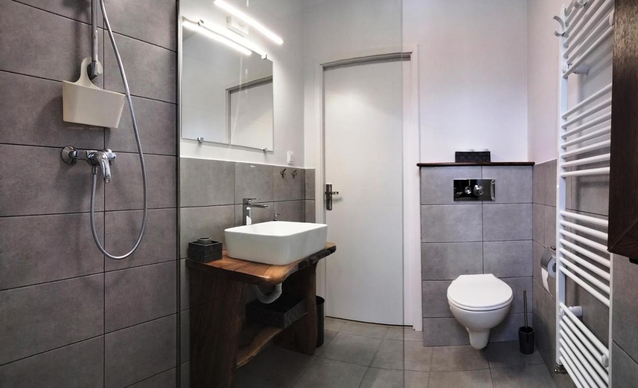 Casa Comilor Bed and Breakfast Surdesti  Εξωτερικό φωτογραφία