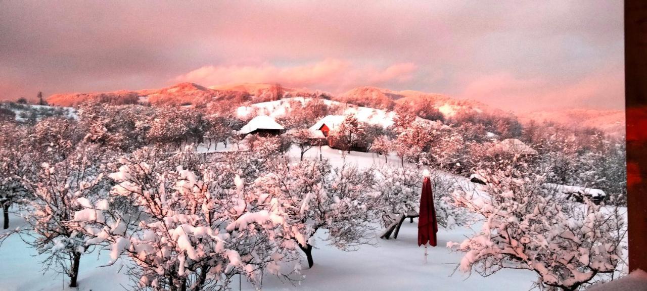 Casa Comilor Bed and Breakfast Surdesti  Εξωτερικό φωτογραφία