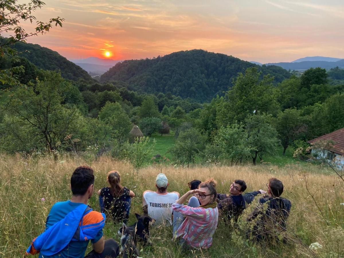 Casa Comilor Bed and Breakfast Surdesti  Εξωτερικό φωτογραφία