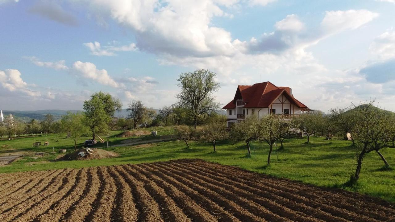 Casa Comilor Bed and Breakfast Surdesti  Εξωτερικό φωτογραφία